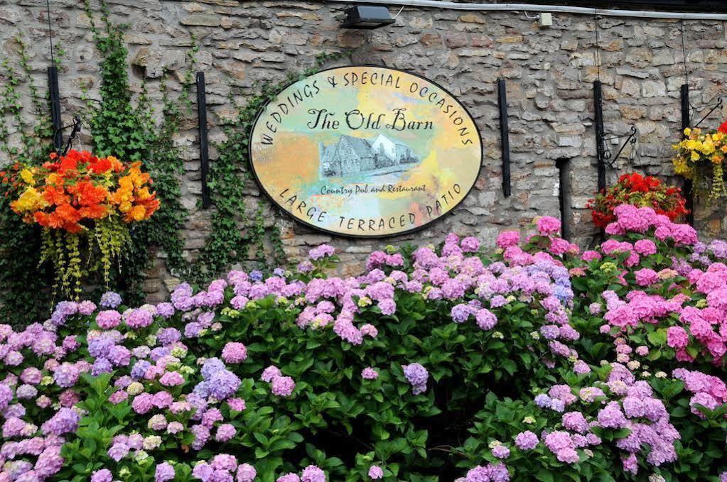 The Old Barn Inn Newport  Buitenkant foto